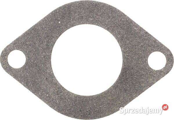 Uszczelka zaworu ssącego 590396 Kamionna