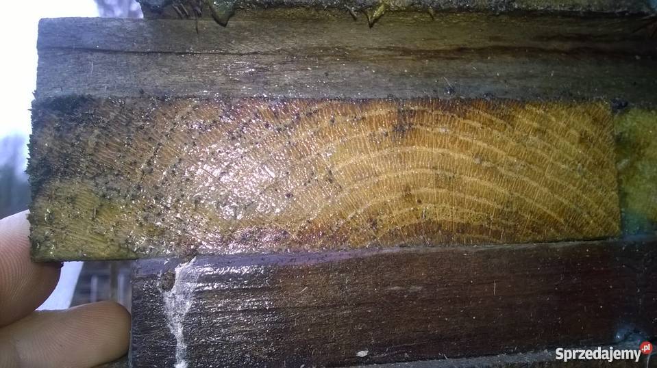 Preparat do zabezpieczania drewna przed pękaniem podkarpackie