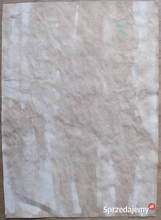 Rysunek C Żak Antykwariat Warszawa