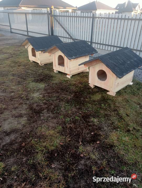 Buda psa legowisko mazowieckie Pionki
