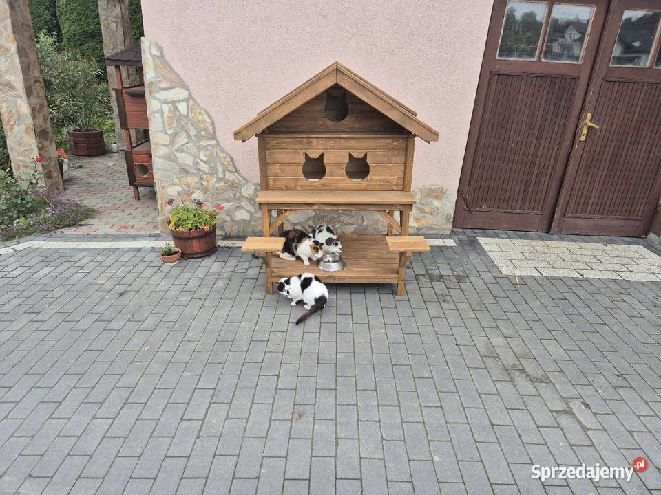 Buda kotów Jordanów