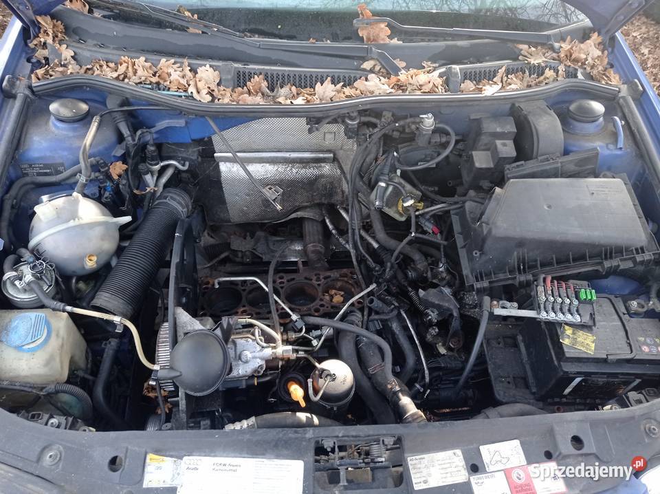 Audi A3 19 TDI 66 kW 1999 r dawca części Rok produkcji 1999 Szklarka Myślniewska