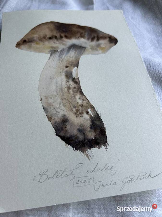 Akwarela grzyb obraz las natura malarstwo łódzkie Skierniewice
