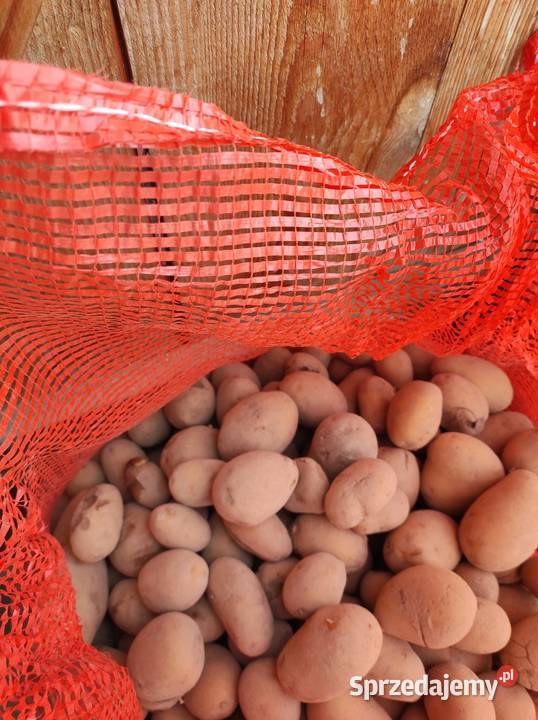 Ziemniaki paszowe dolnośląskie Jarząbkowice sprzedam