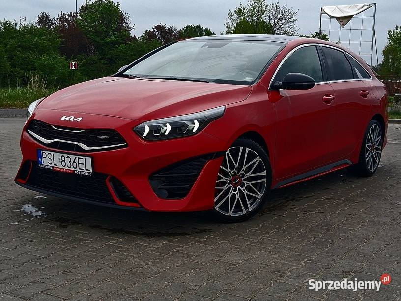 Kia ProCeed GT LINE 16T 204 FULL LED Panorama Procee'd wielkopolskie