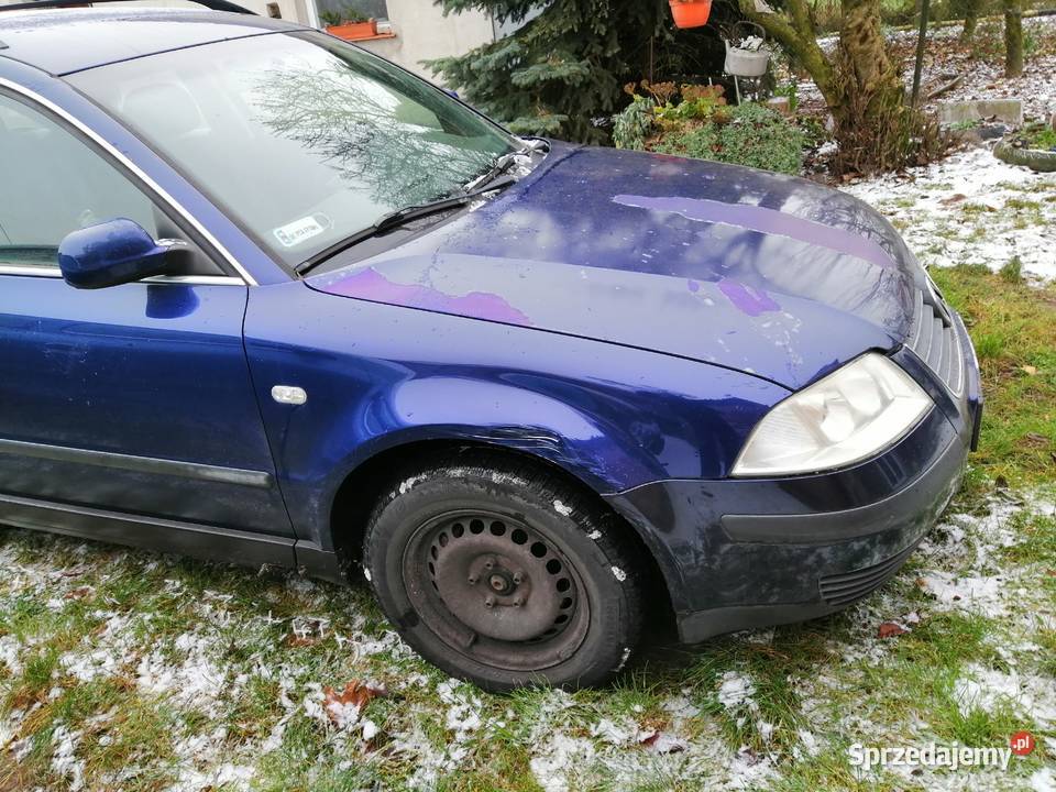 Passat 264182km Lądek