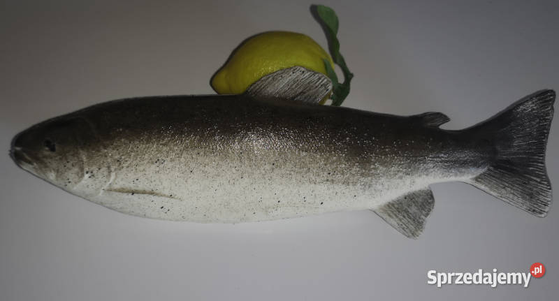 Sztuczne ryby do dekoracji Łódź sprzedam