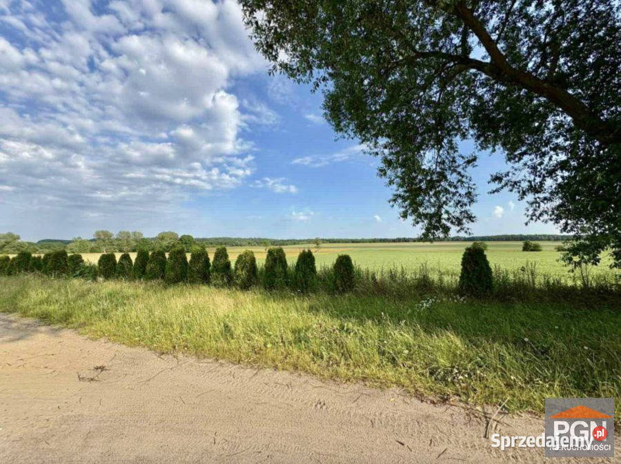 Ogłoszenie działka Gryfice 1500m2 40m Sprzedaż Grunty i działki sprzedam
