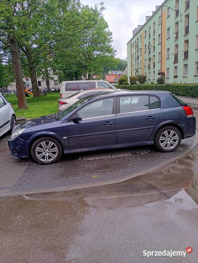 Opel signum 2005r