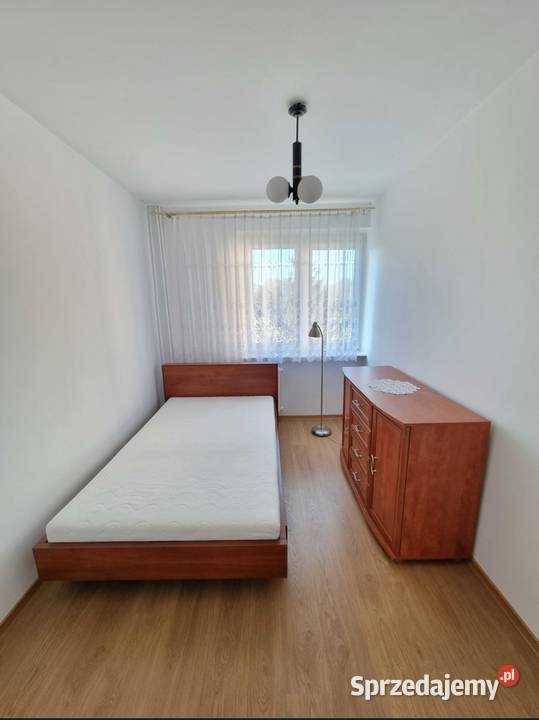 AKTUALNE Mieszkanie 495m2 Okrzei punktowiec 1 łódzkie Bełchatów