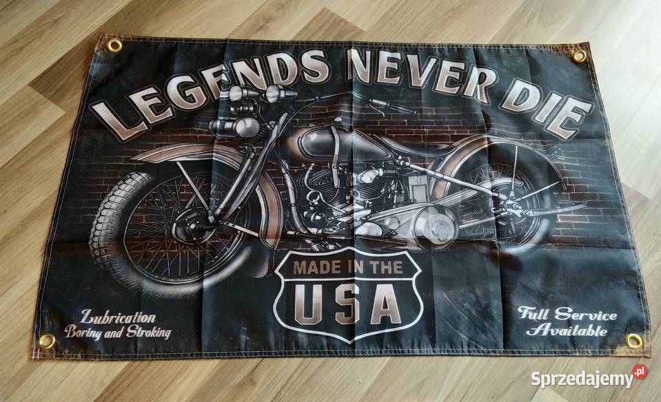 Baner plakat materiałowy 90x60 indian cholernie Sztuka współczesna Gniezno sprzedam