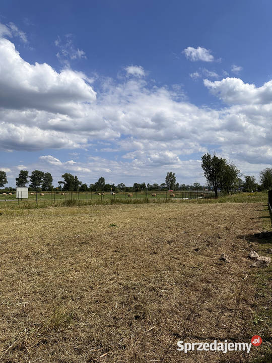 MULCZOWANIE TRAWY Koszenie nieużytków Czernichów ogród