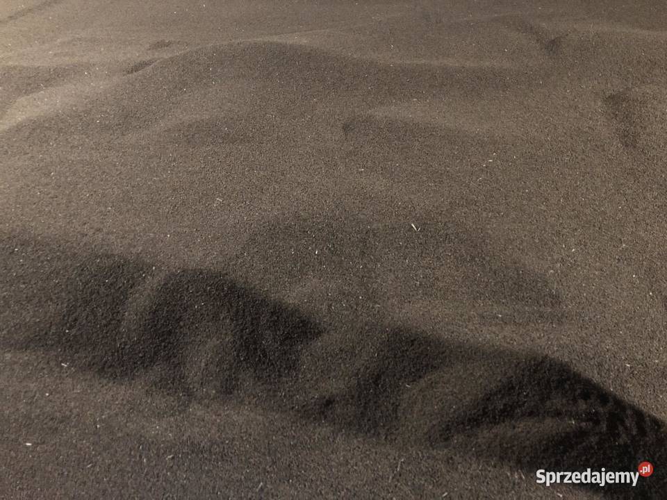 Facelia Stala Rudniki