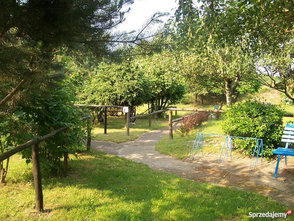 Sprzedam siedlisko Kalisz sprzedam