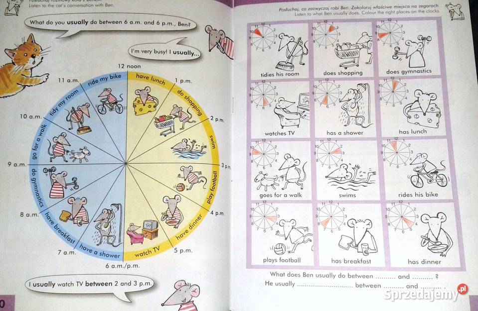 Bingo 2B Anna Wieczorek miękka Chełm