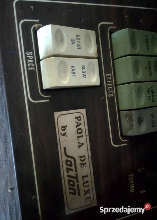 Organy Paola Antyki, Sztuka, Kolekcje podkarpackie