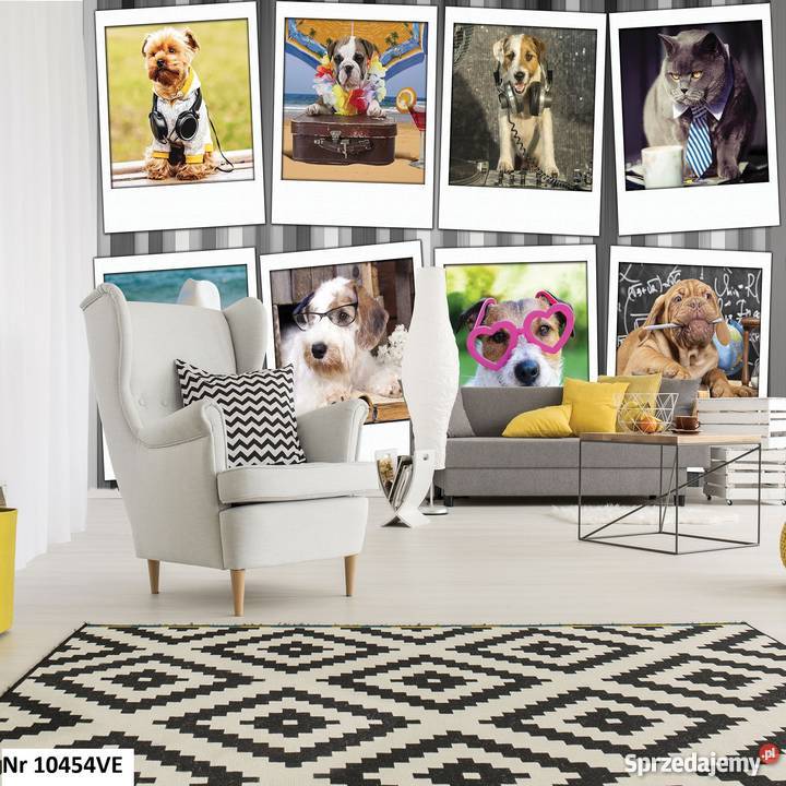 Tapeta fototapeta Pieski i kotki wewnętrzne wielkopolskie Leszno sprzedam