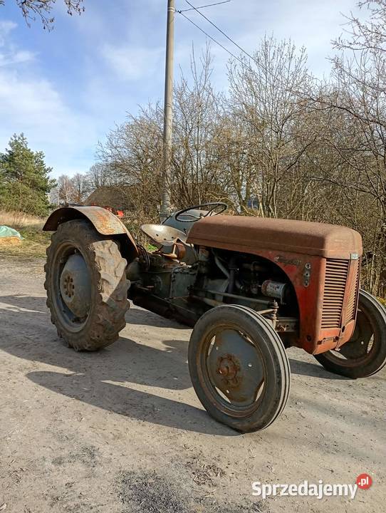 Sprzedam Fergusona TED 20 wielkopolskie Gniezno