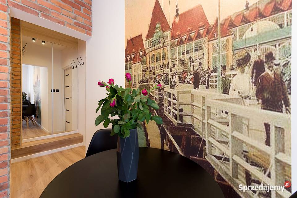 Płytki ceglane stare cegły na ścianę lico cegły Poznań