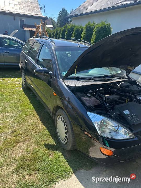 Ford focus Łuków