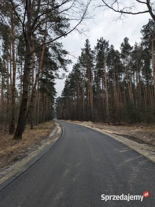 Działka budowlana Łodzi w sercu lasu 1207m2