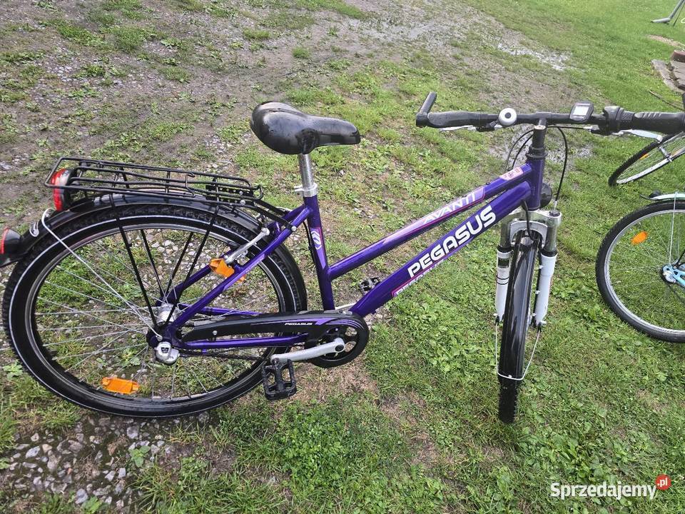 Rower 26 Pegasus