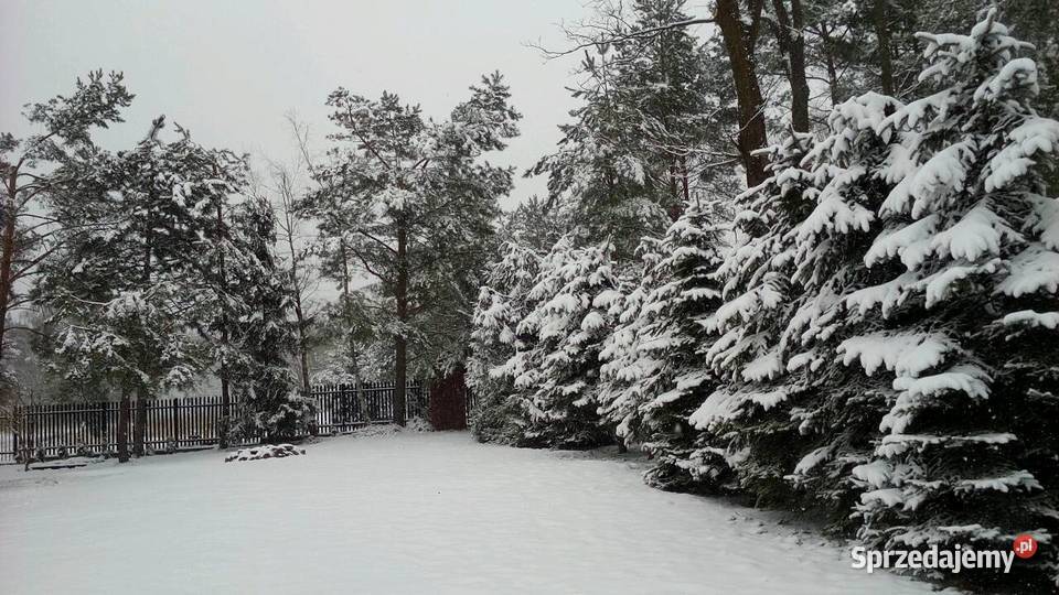 Dom w Kani Polskiej mazowieckie Kania Polska