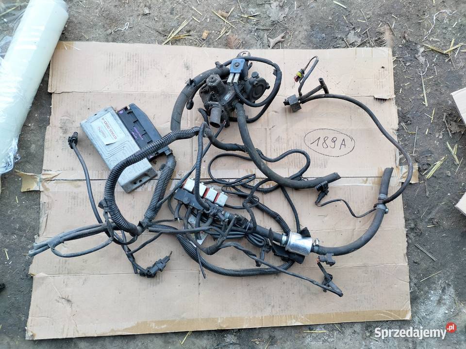 INSTALACJA GAZU LPG SEKWENCJA RCYL STAG 3004 osobowe Kamień-Kolonia