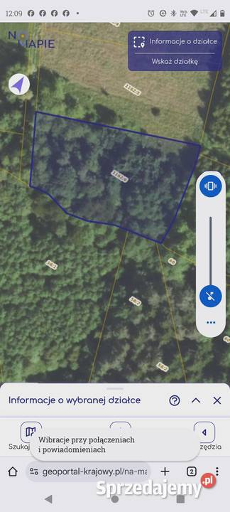 Sprzedam działkę rekreacyjną częściowo zalesioną Błażkowa