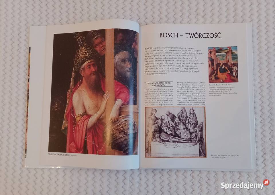 Hieronim Bosch Wielka Kolekcja Sławnych Malarzy twarda Kraków