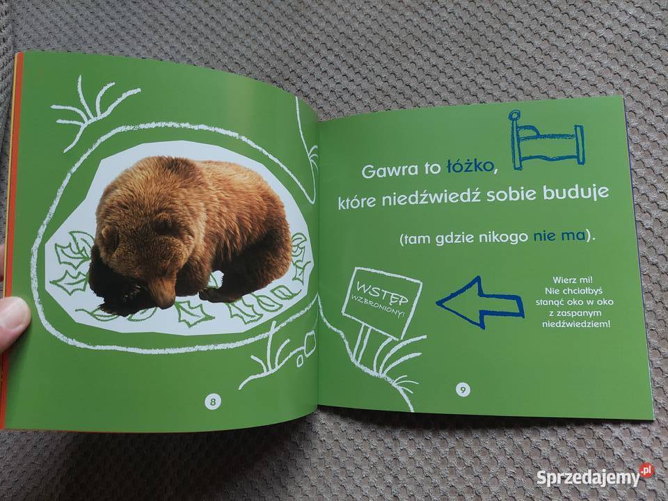 O gawrach czyli niedźwiedzich łóżkach Becky Kraków