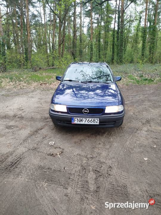 1993 Sława
