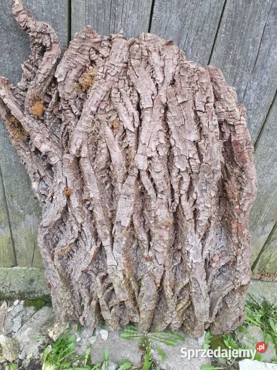 Kora kawałek drzewa ozdoba 80x40