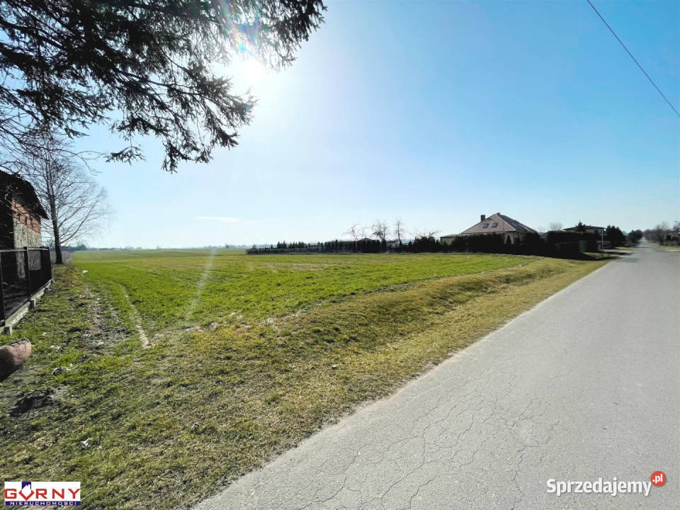 Działka Gomulin 16400m2