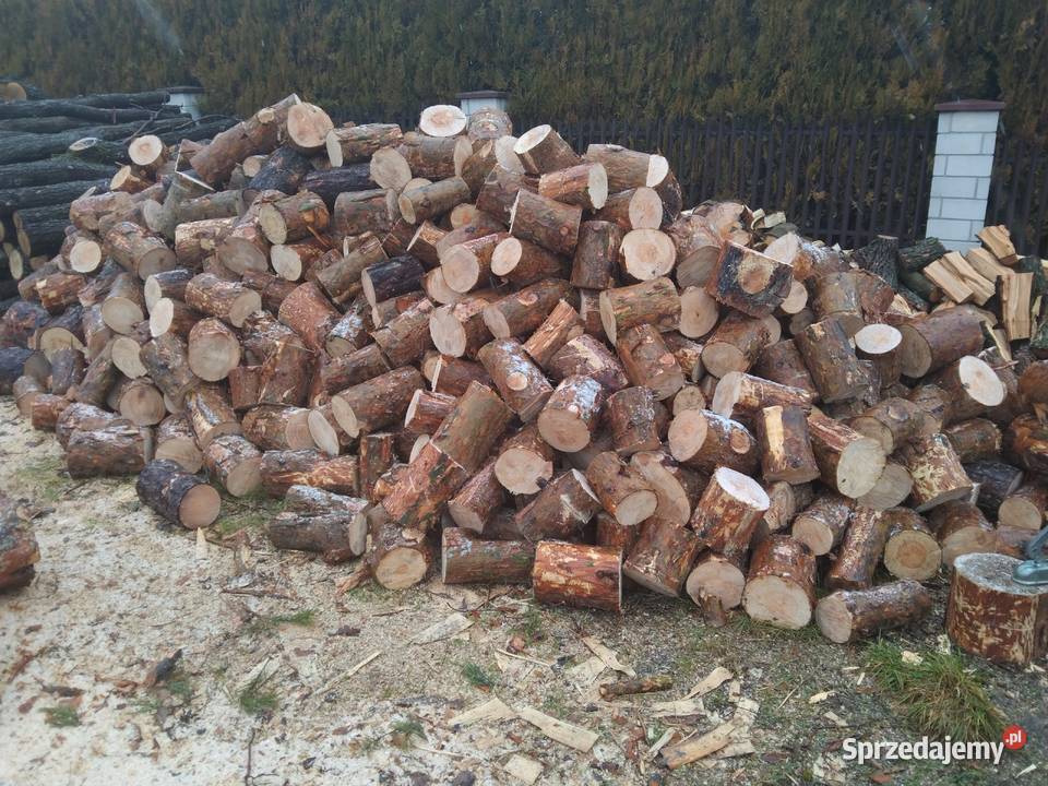 Drzewo opałowe Jędrzejów