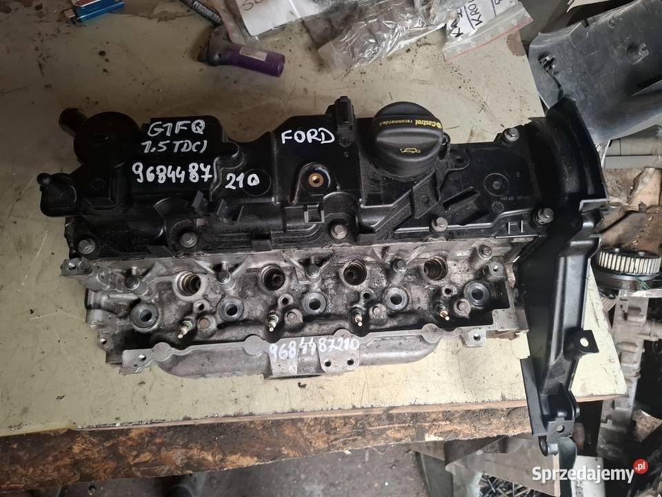 FORD 15 TDCI CITROEN PEUGEOT 16 HDI G1FQ głowica osobowe świętokrzyskie Kielce
