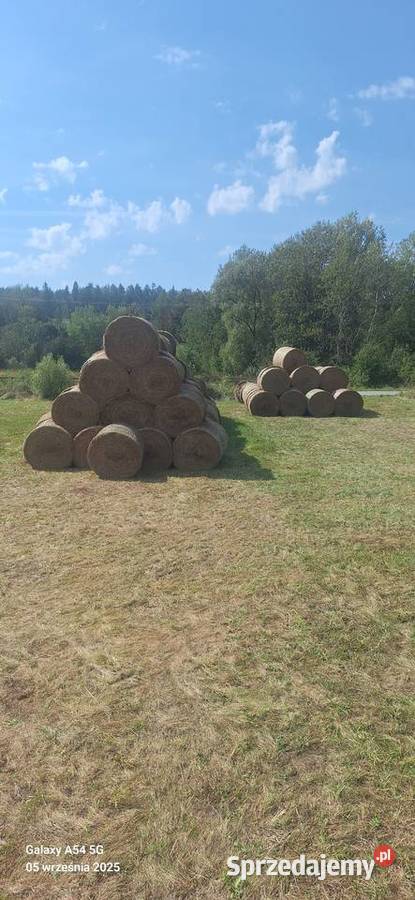 Siano bele 125x125 Posada Jaśliska