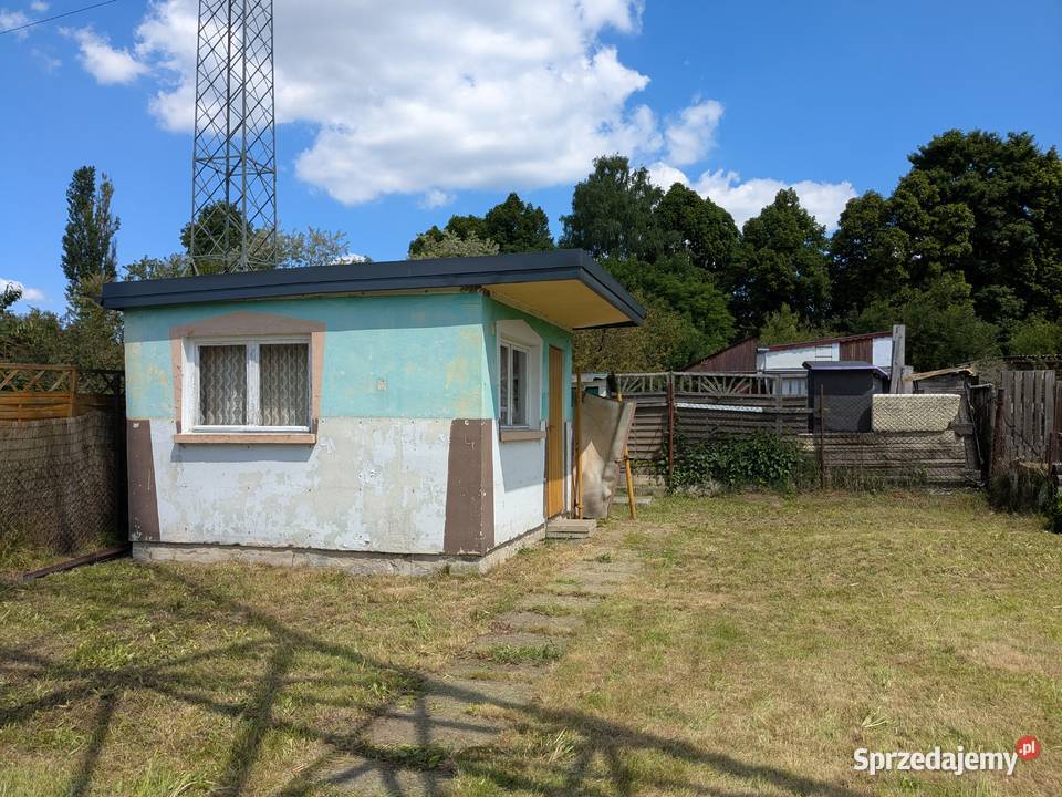 Ogródek działkowy ROD Zacisze Stroszek Bytom siatka śląskie