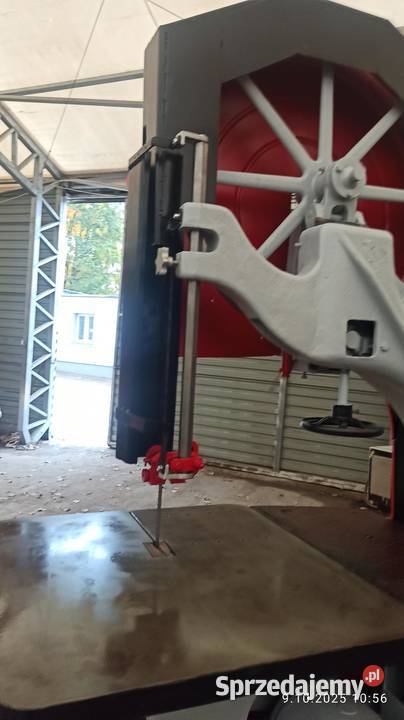 Piła taśmowa primultini tk 900 lignum