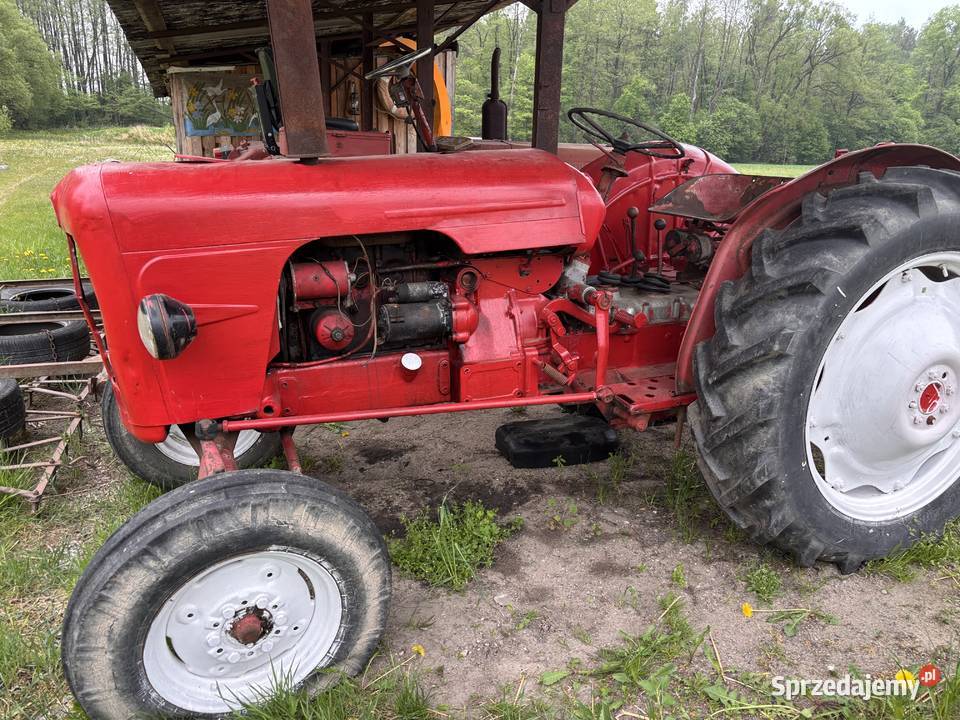 stary ciągnik traktor David Brown perkins 3 Kosianka-Boruty