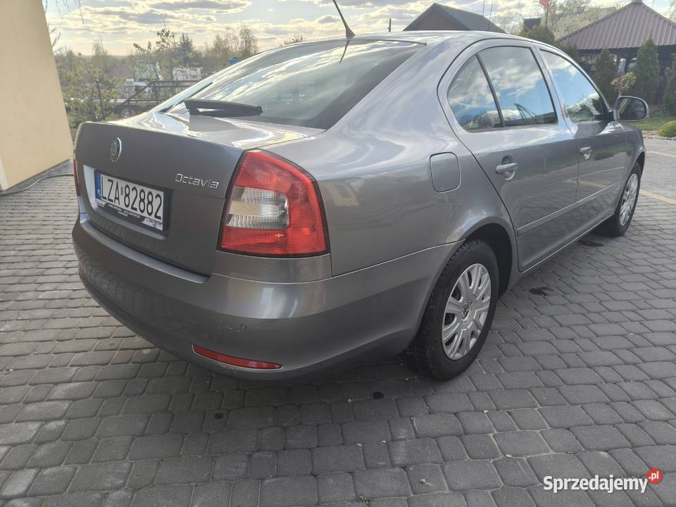 Skoda Octavia Salon Polska Szczebrzeszyn