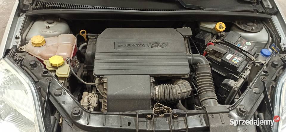 Ford Fiesta 2004 13 benzyna wielkopolskie