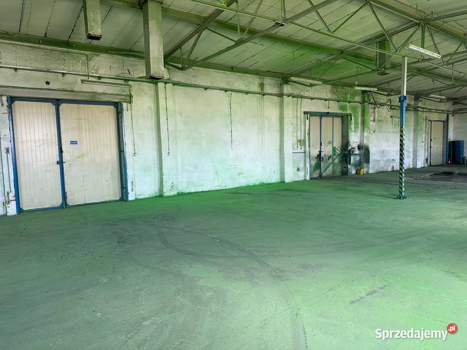 Magazyny i hale do wynajęcia Góra