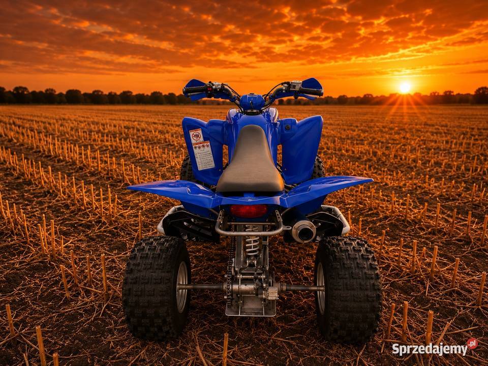 Yamaha Raptor 350 garażowany Wielgie