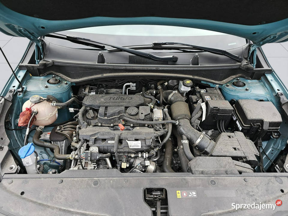 Kia Sportage 16 TGDI M 2WD DCT 150 V 2021 nieuszkodzony Janki