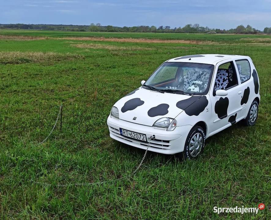 Fiat Seicento Krowa Rok produkcji 1999 Warszawa