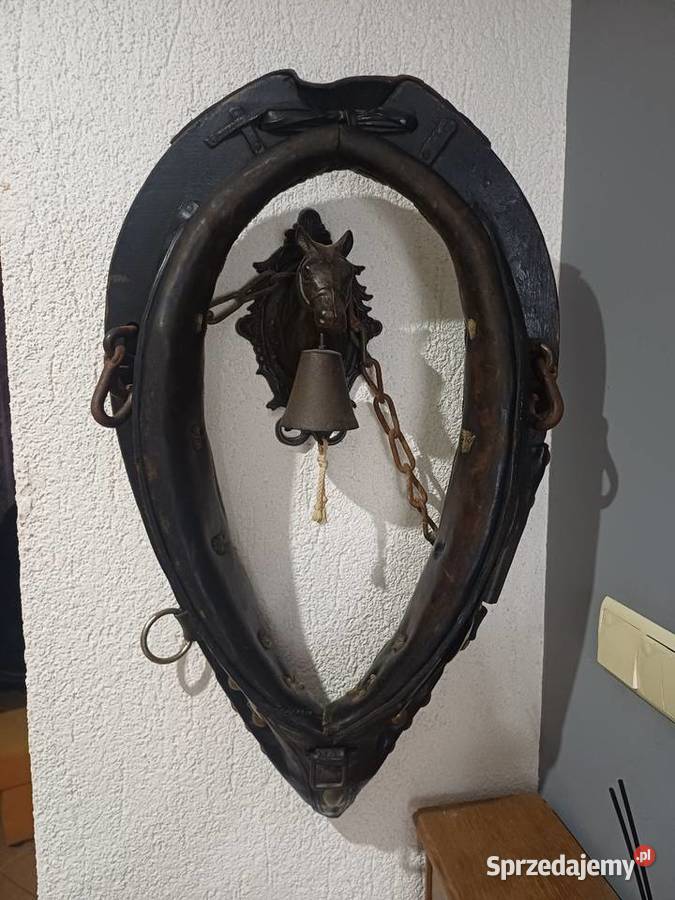 Homonto konia Nowy Tomyśl