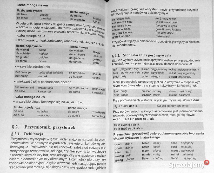 Niderlandzki w 1 miesiąc PONS Berna de Boer lubelskie Chełm