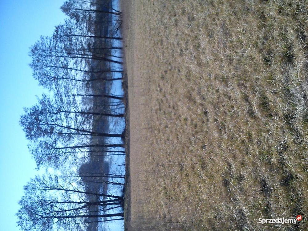 Działka rekreacyjna z granicą w wodzie Grunty i działki Ługowo