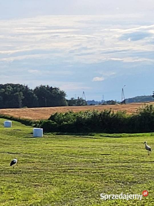 Okazja Gospodarstwo rolne 2177ha z dostępem do podlaskie Raczki